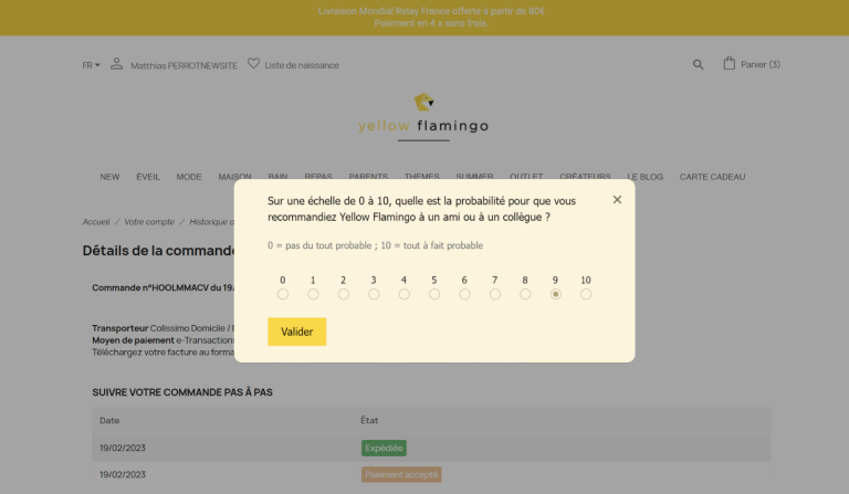 Sondage Ecommerce calcul NPS