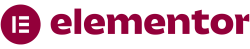 Ecomsight expert Elementor WordPress